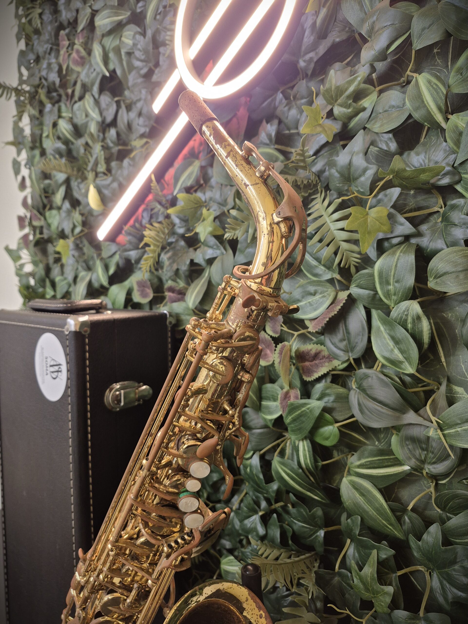 New York Symphonic VINTAGE Alt-Saxofoon - Afbeelding 2